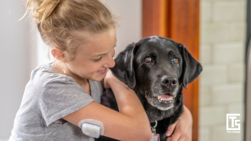 Can pets sense blood sugar changes? What science says about diabetes alert animals