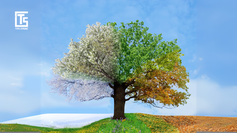 Hot weather, cold weather: How changing seasons affect your blood sugar